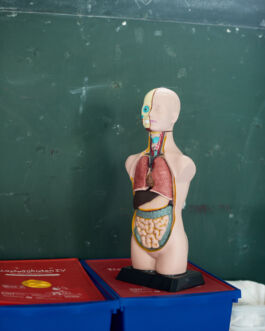  fotografie für Unternehmen - Teaserbild