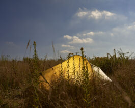 fotografie für Unternehmen - Teaserbild