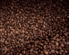 fotografie für Unternehmen - Teaserbild