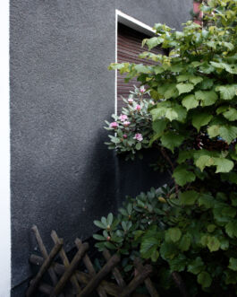  fotografie für Unternehmen - Teaserbild