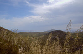  fotografie für Unternehmen - Teaserbild