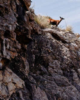  fotografie für Unternehmen - Teaserbild