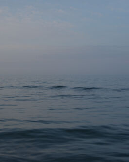  fotografie für Unternehmen - Teaserbild