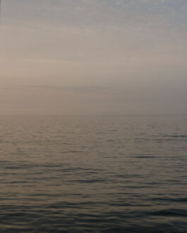  fotografie für Unternehmen - Teaserbild