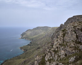  fotografie für Unternehmen - Teaserbild